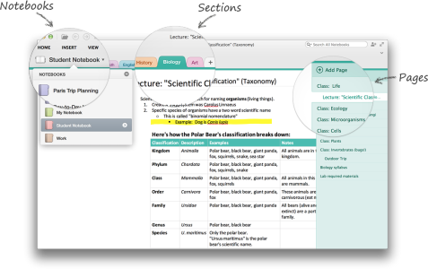 Basic Daily Onenote OneNote: Note Taking Made Easy | eLIS Blog