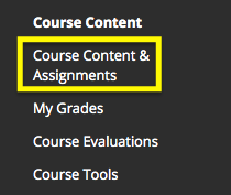 Course Content & Assignments is a content area